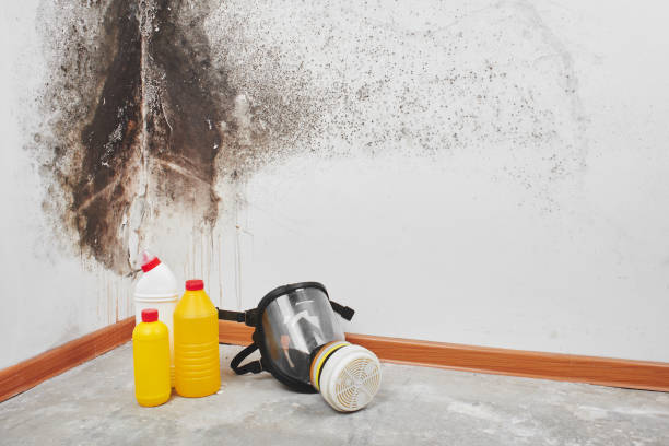 Best Mold Prevention Services  in Amboy, WA